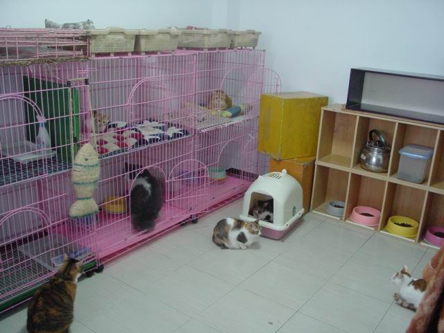 «ö¦¹¦b·sµøµ¡ÂsÄý¹Ï¤ù