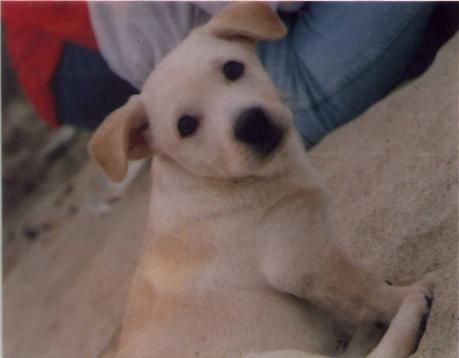 按此在新視窗瀏覽圖片