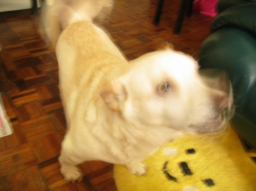 按此在新視窗瀏覽圖片