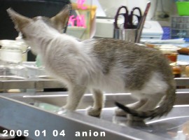 按此在新視窗瀏覽圖片