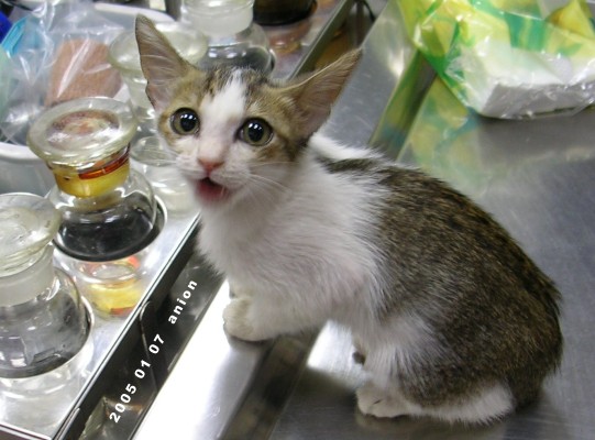 按此在新視窗瀏覽圖片