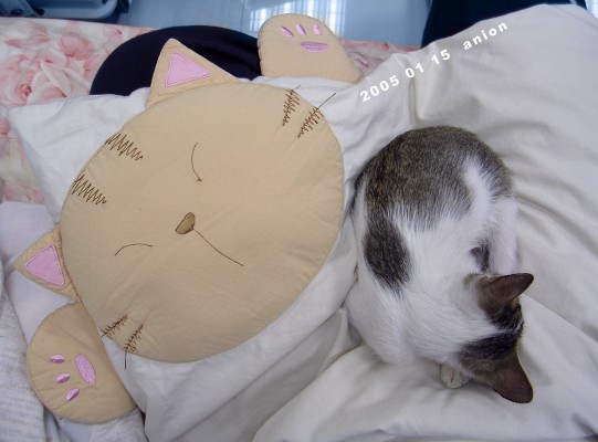 按此在新視窗瀏覽圖片