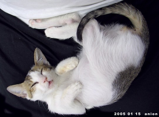 按此在新視窗瀏覽圖片