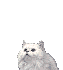 «ö¦¹¦b·sµøµ¡ÂsÄý¹Ï¤ù