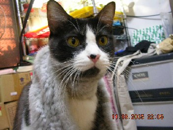 «ö¦¹¦b·sµøµ¡ÂsÄý¹Ï¤ù