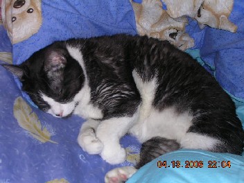 «ö¦¹¦b·sµøµ¡ÂsÄý¹Ï¤ù