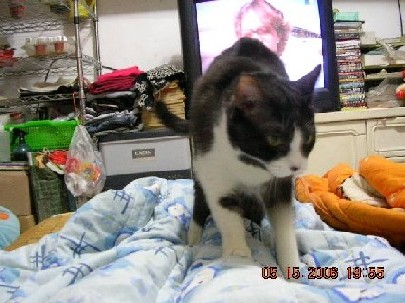 «ö¦¹¦b·sµøµ¡ÂsÄý¹Ï¤ù