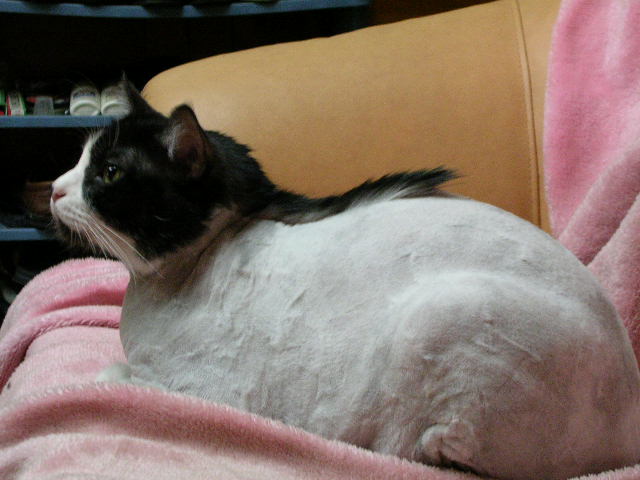 «ö¦¹¦b·sµøµ¡ÂsÄý¹Ï¤ù