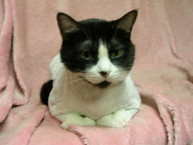 «ö¦¹¦b·sµøµ¡ÂsÄý¹Ï¤ù