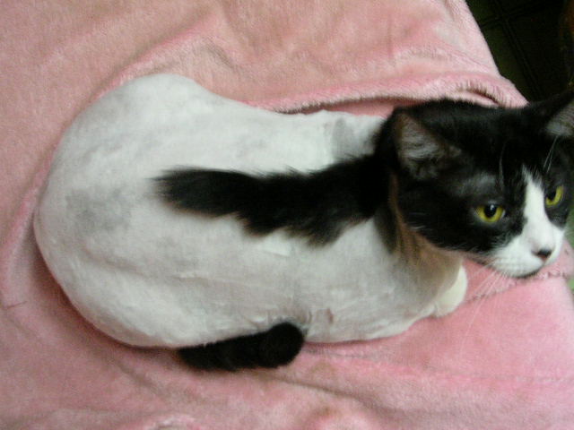 «ö¦¹¦b·sµøµ¡ÂsÄý¹Ï¤ù