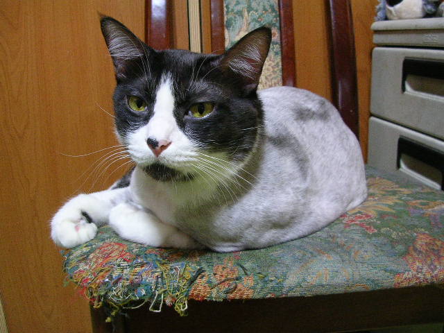 «ö¦¹¦b·sµøµ¡ÂsÄý¹Ï¤ù