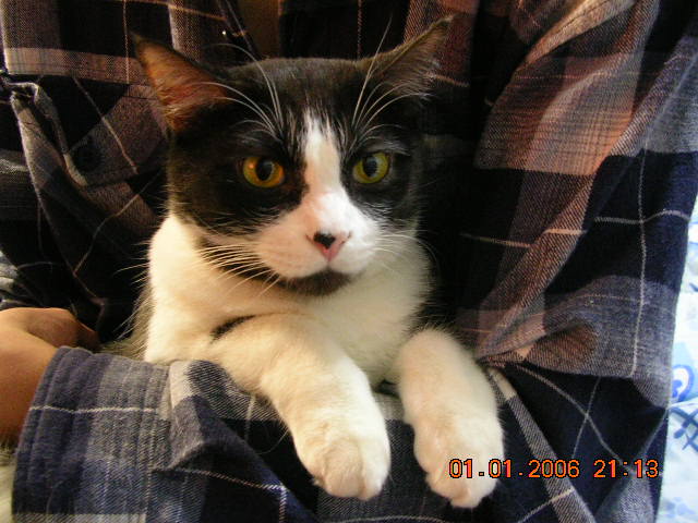 «ö¦¹¦b·sµøµ¡ÂsÄý¹Ï¤ù