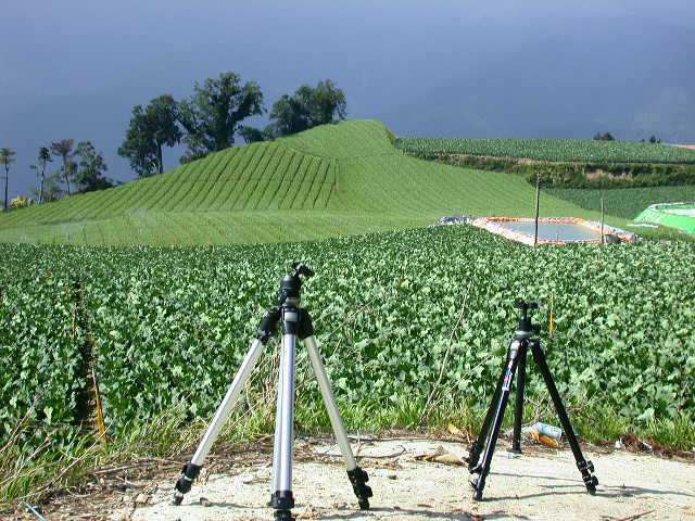 按此在新視窗瀏覽圖片