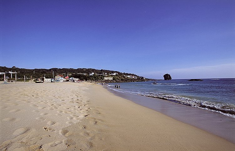 按此在新視窗瀏覽圖片