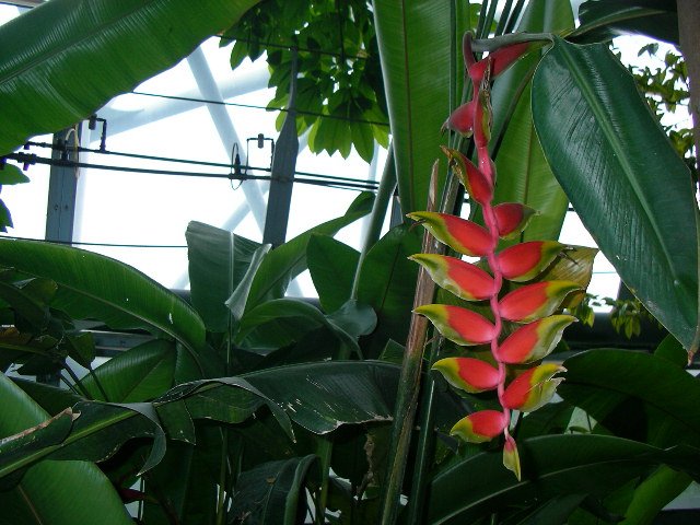 按此在新視窗瀏覽圖片