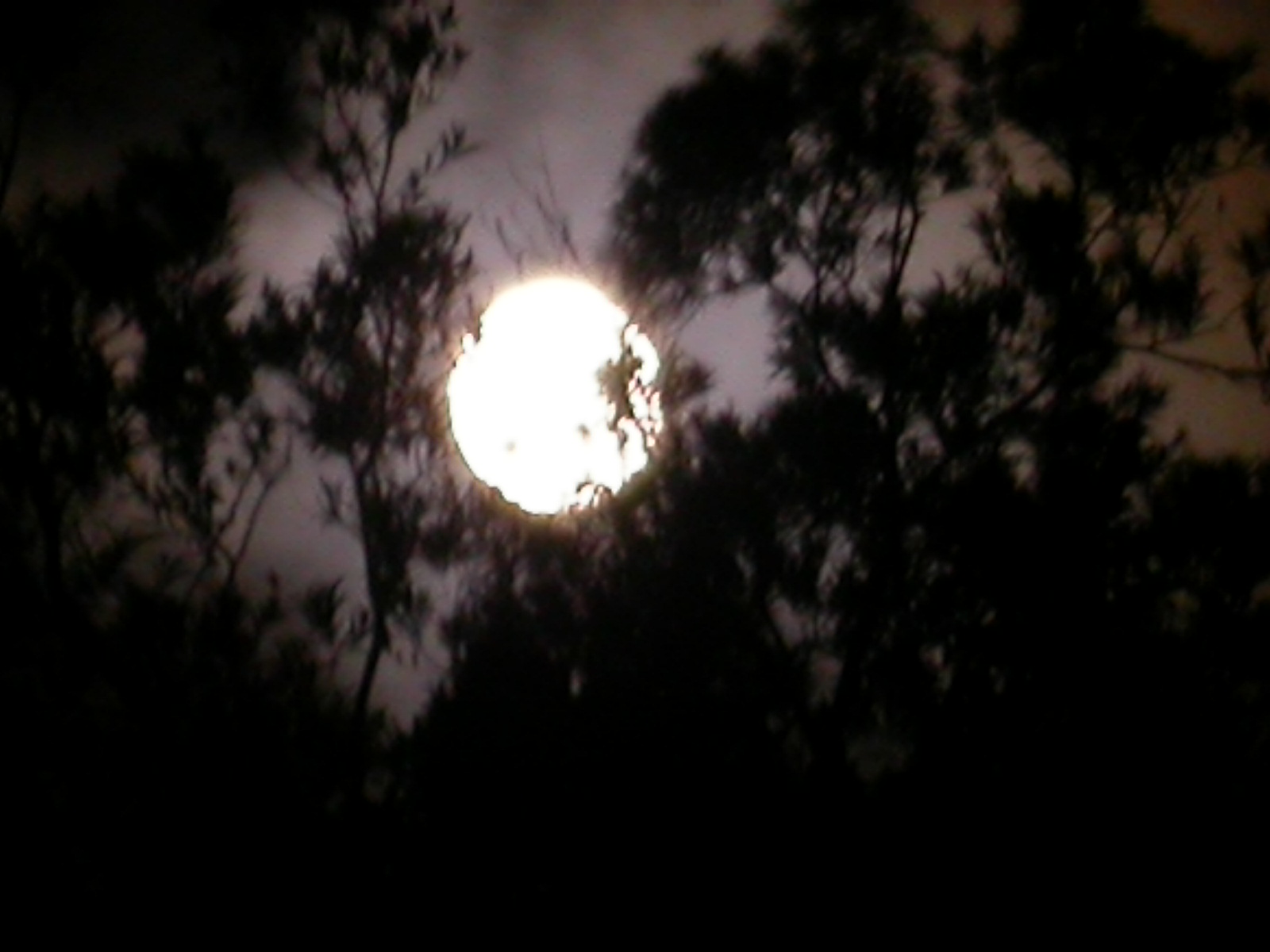 按此在新視窗瀏覽圖片