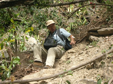 按此在新視窗瀏覽圖片