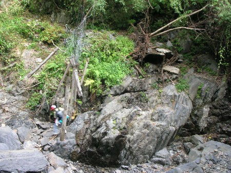 按此在新視窗瀏覽圖片
