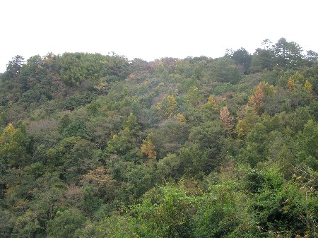 按此在新視窗瀏覽圖片