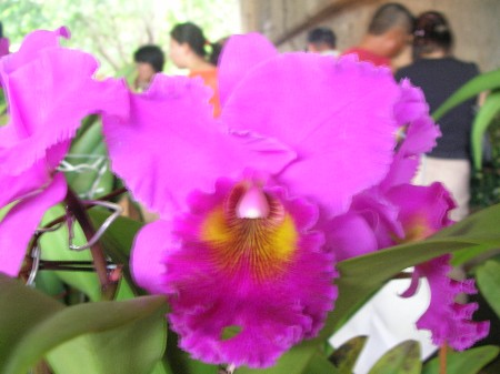 按此在新視窗瀏覽圖片