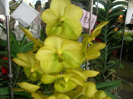 按此在新視窗瀏覽圖片