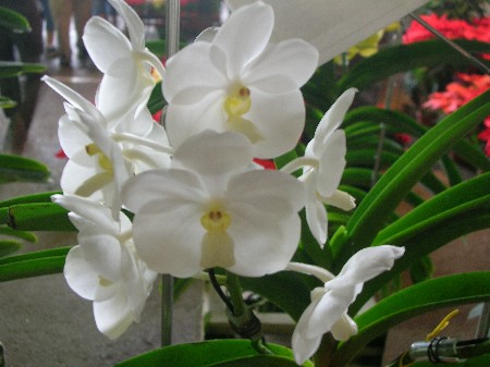 按此在新視窗瀏覽圖片