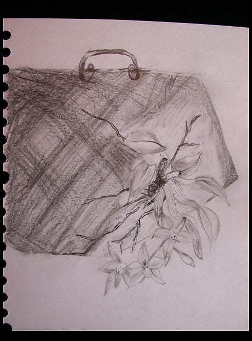 按此在新視窗瀏覽圖片