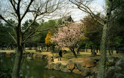 按此在新視窗瀏覽圖片