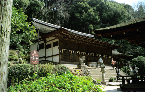 按此在新視窗瀏覽圖片