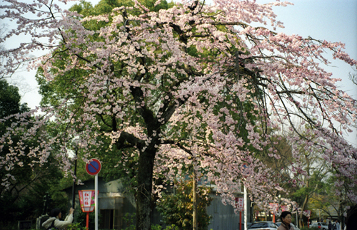 按此在新視窗瀏覽圖片