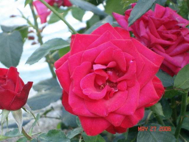 按此在新視窗瀏覽圖片