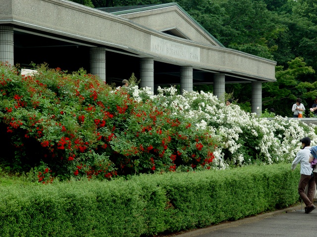 按此在新視窗瀏覽圖片