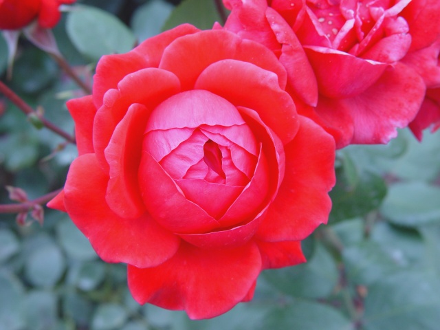 按此在新視窗瀏覽圖片