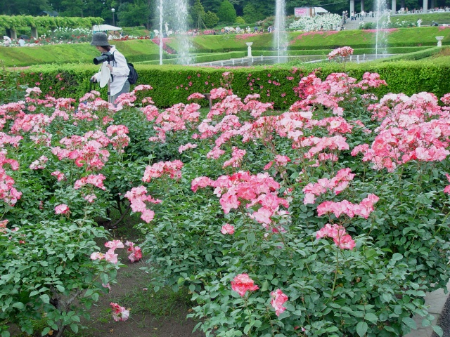 按此在新視窗瀏覽圖片