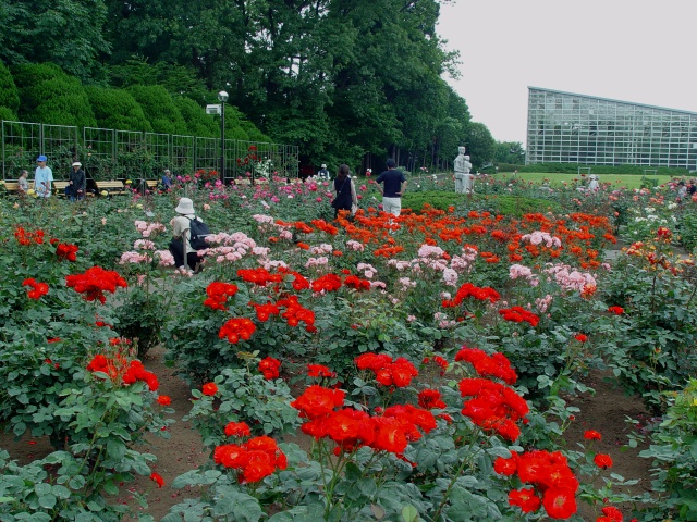 按此在新視窗瀏覽圖片
