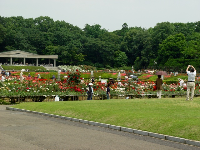 按此在新視窗瀏覽圖片