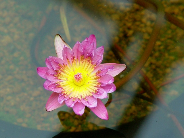 按此在新視窗瀏覽圖片