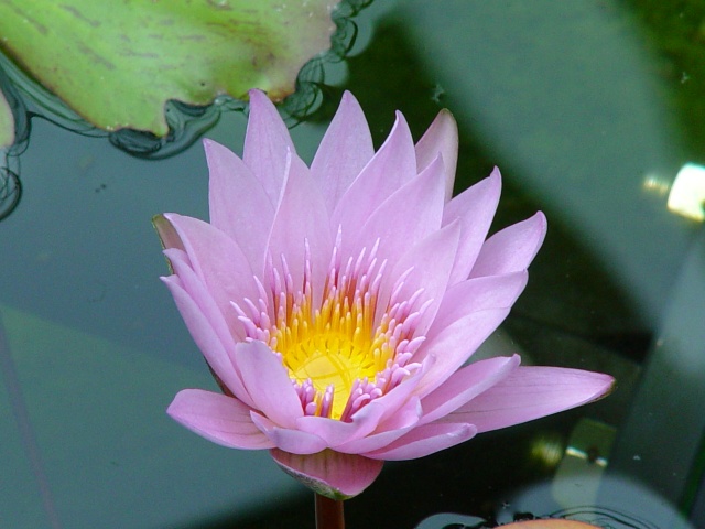 按此在新視窗瀏覽圖片