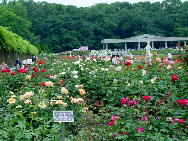 按此在新視窗瀏覽圖片