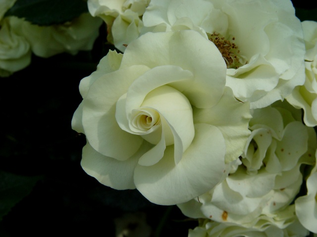 按此在新視窗瀏覽圖片