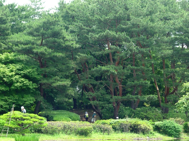 按此在新視窗瀏覽圖片