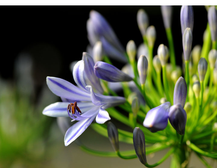 «ö¦¹¦b·sµøµ¡ÂsÄý¹Ï¤ù