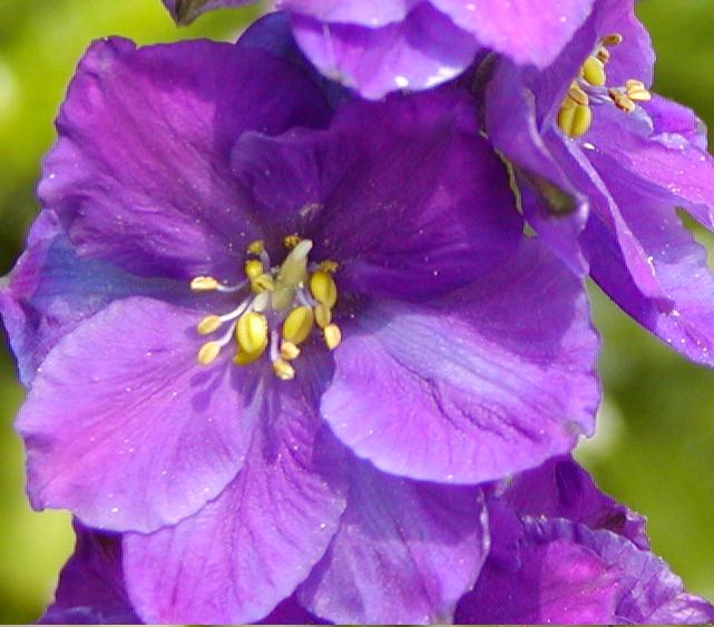 按此在新視窗瀏覽圖片