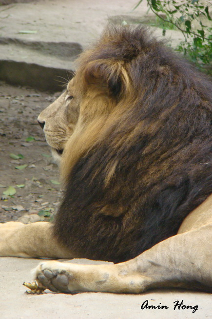 «ö¦¹¦b·sµøµ¡ÂsÄý¹Ï¤ù