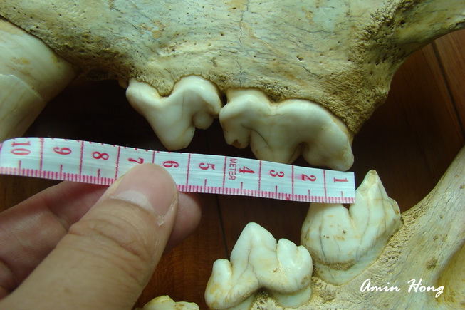 «ö¦¹¦b·sµøµ¡ÂsÄý¹Ï¤ù