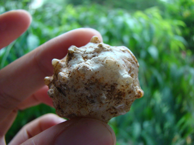 «ö¦¹¦b·sµøµ¡ÂsÄý¹Ï¤ù