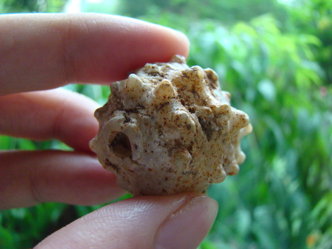 «ö¦¹¦b·sµøµ¡ÂsÄý¹Ï¤ù