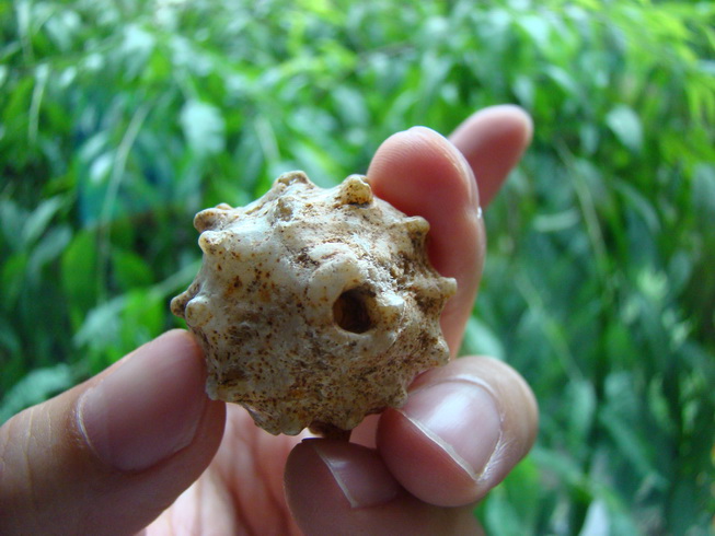 «ö¦¹¦b·sµøµ¡ÂsÄý¹Ï¤ù