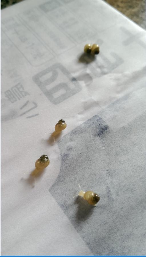 «ö¦¹¦b·sµøµ¡ÂsÄý¹Ï¤ù