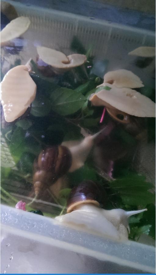 «ö¦¹¦b·sµøµ¡ÂsÄý¹Ï¤ù